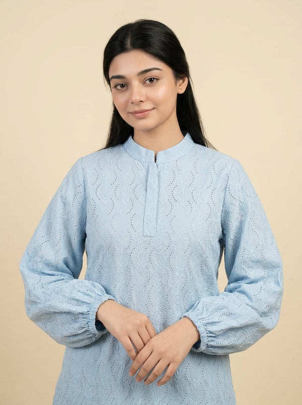 Sky Blue Embroidered Top